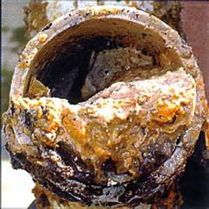Grease clogged pipes