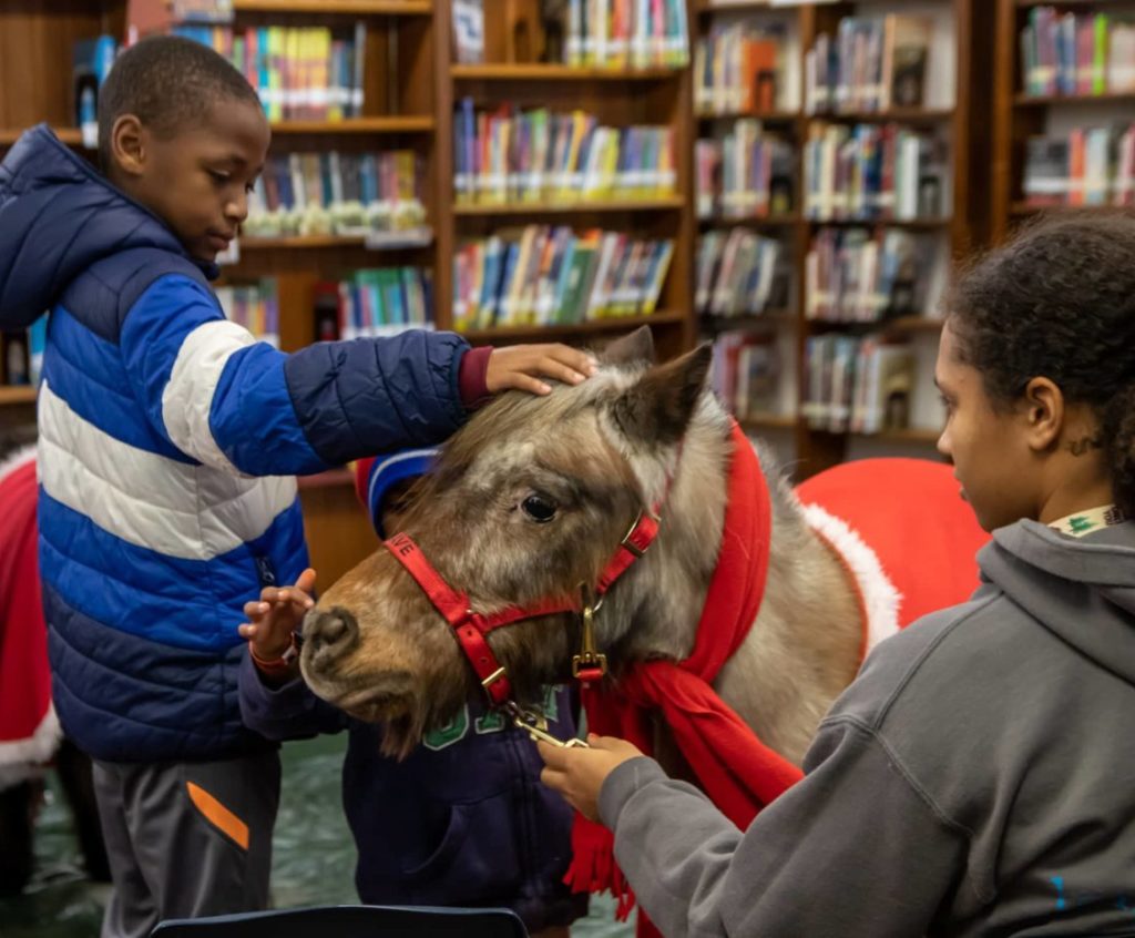 Child petting mini horse in library