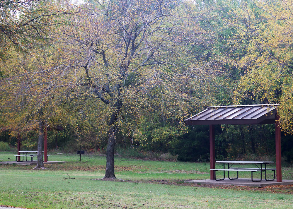 Forrest Moore Park picnic tables. with trees and shade